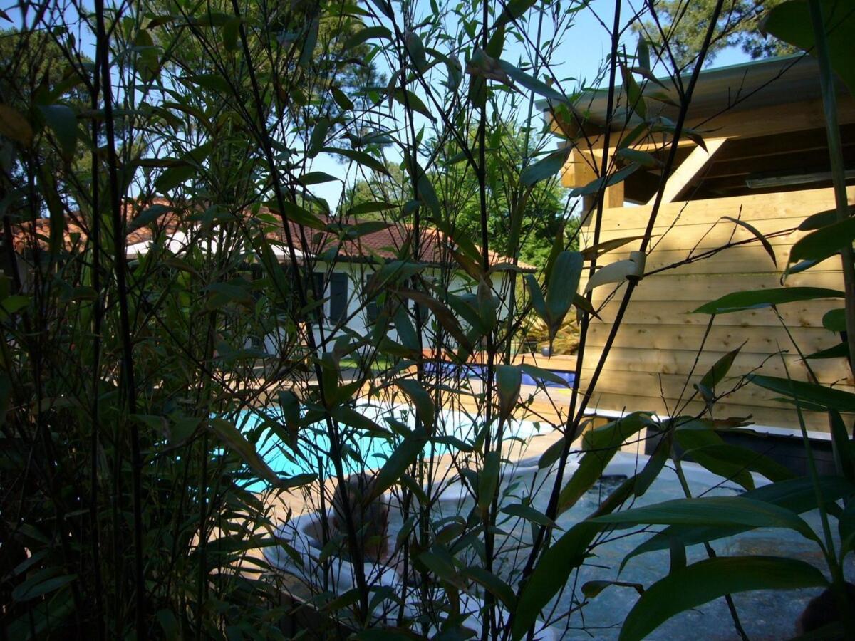 House With Heated Pool And Jacuzzi Villa Soorts-Hossegor ภายนอก รูปภาพ